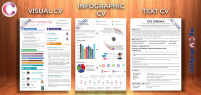 Read more about the article Text vs Visual vs Infographic Resume: Which one to use?