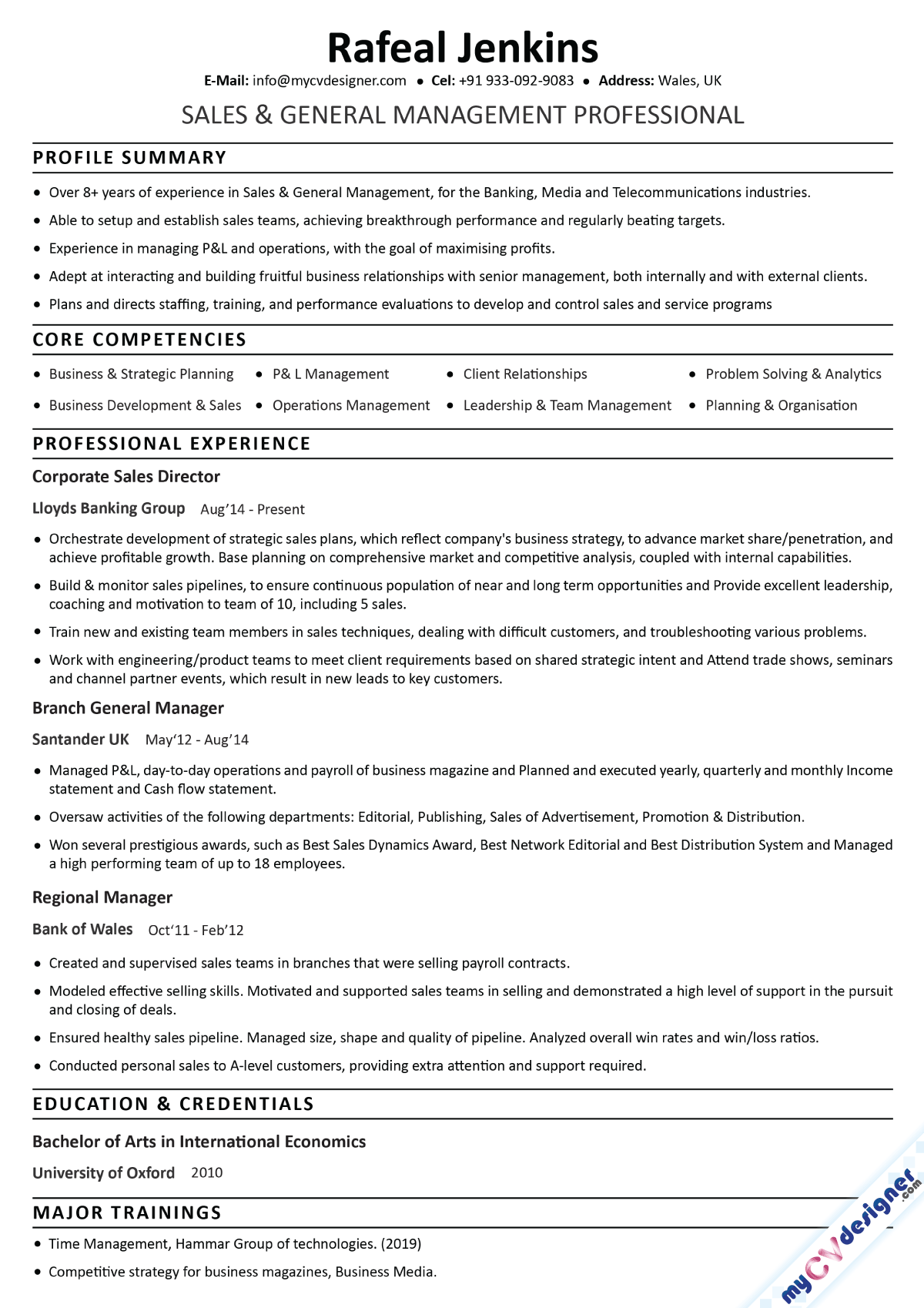Sales and General Management Professional Text Resume Sample