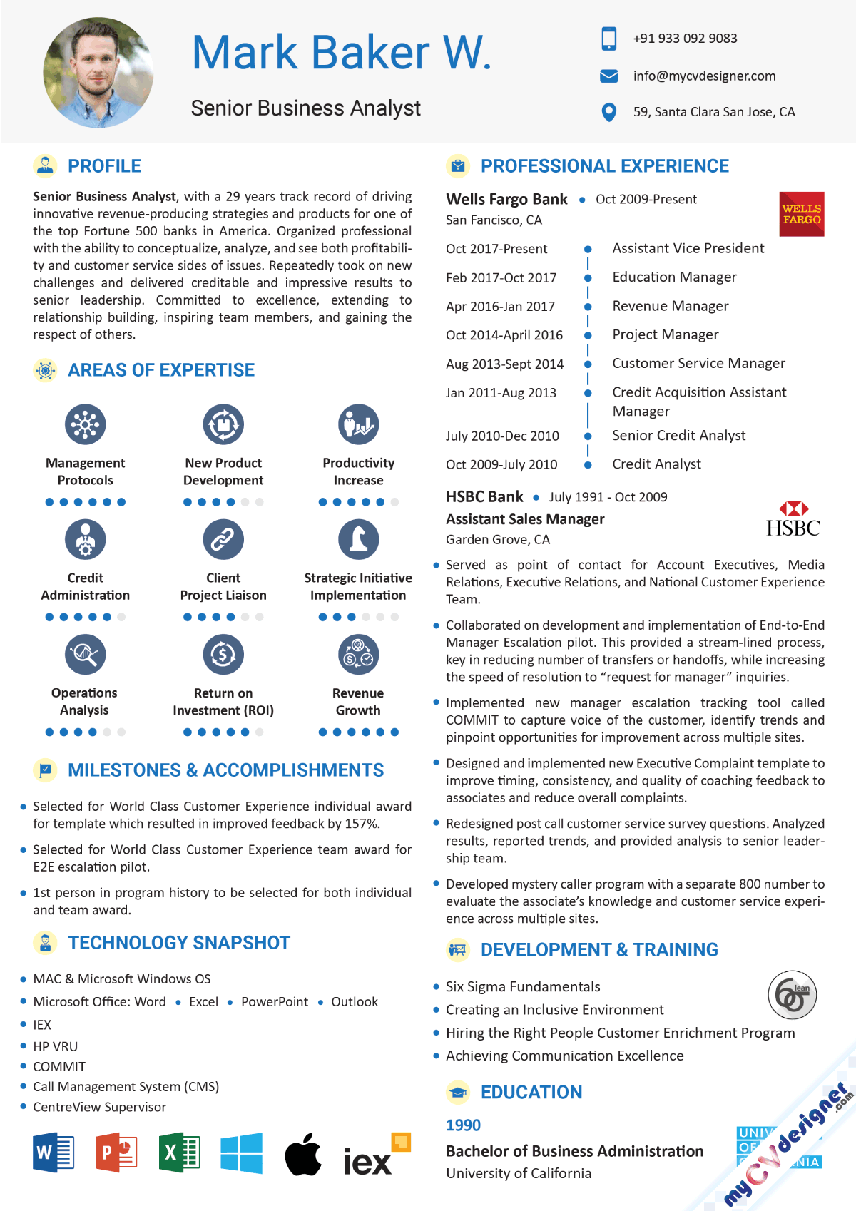 Business Analyst Visual Resume Example