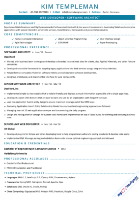 Software Architect Text Resume Example