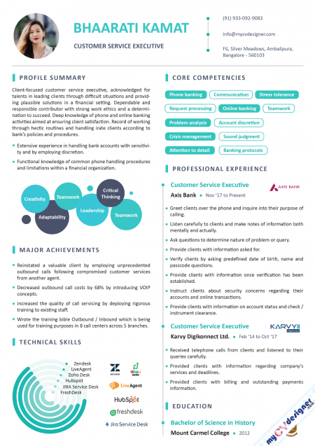 Customer Service Executive Infographic Resume Example
