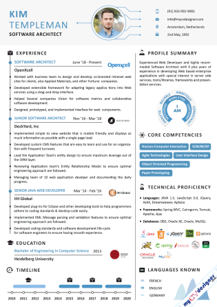 Informative Cv Example Infographic CV & Resume Templates – My CV Designer