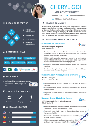 Informative Cv Example Infographic CV & Resume Templates – My CV Designer
